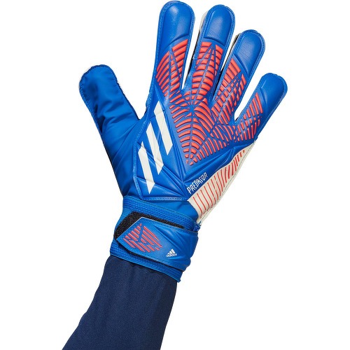 adidas Performance - Gants Predator Training