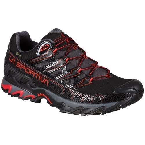 Chaussures Randonnée Ultra Raptor Ii Goretex