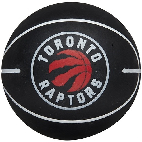 Nba Dribbler Basketball Toronto Raptors