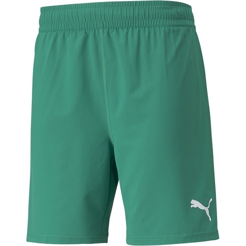 PUMA - Teamfinal Shorts