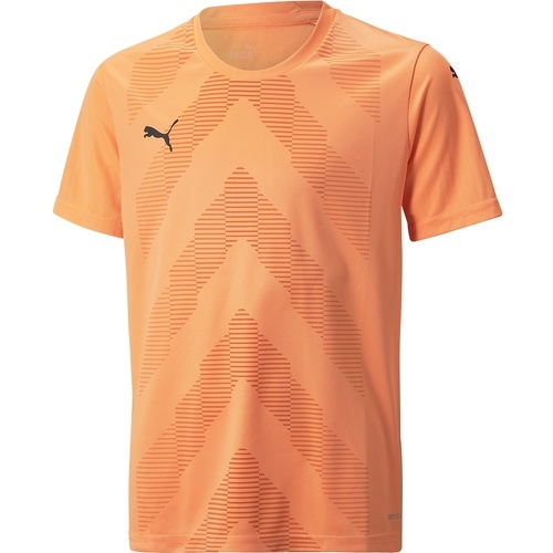 PUMA - Teamglory Jersey Jr