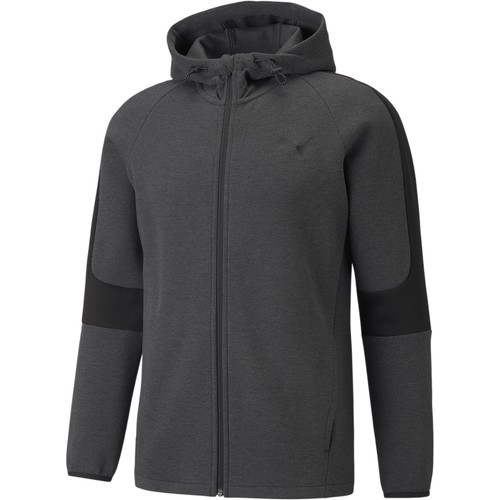 PUMA - Sweatshirt à capuche Full-zip Evostripe Core