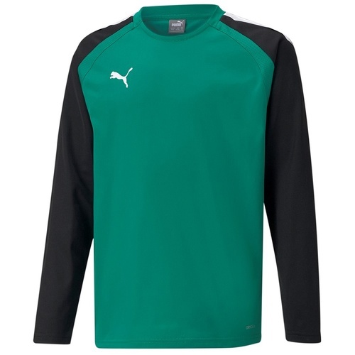 PUMA - Teamliga Training - Sweat de handball