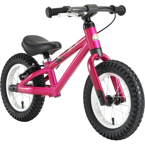 Vélo Draisienne Enfants pour garcons et filles de 3 - 4 ans | Vélo sans pédales évolutive 12 pouces VTT | Berry