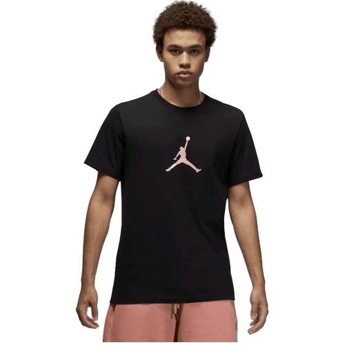 NIKE - T-Shirt Jordan Sport ADN noir