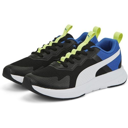 PUMA - Evolve Run Mesh