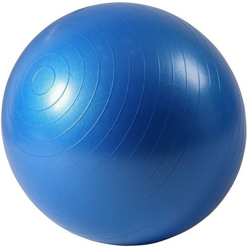 ISE - Ballon de gymnastique Anti-éclatement - Ballon d'exercice 45cm de Diamètre avec Pompe Bleu SY-2001BL55-FR