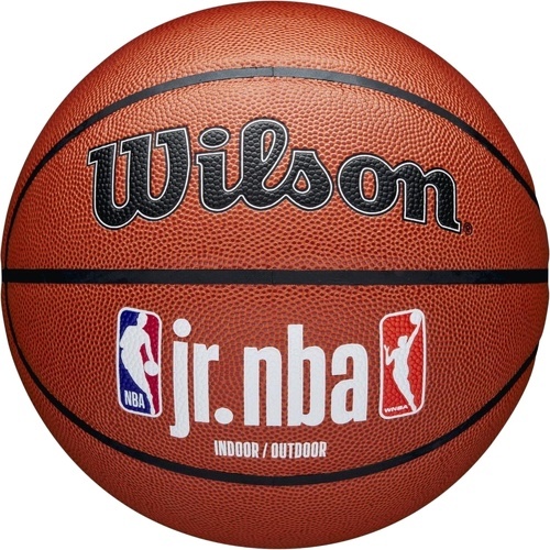 WILSON - Jr NBA Fam Logo In/Out Ball
