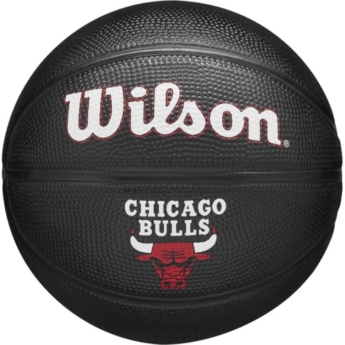 WILSON - Team Tribute Chicago Bulls Mini Ball