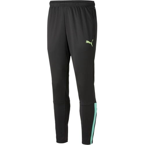 PUMA - teamLIGA Training Pants