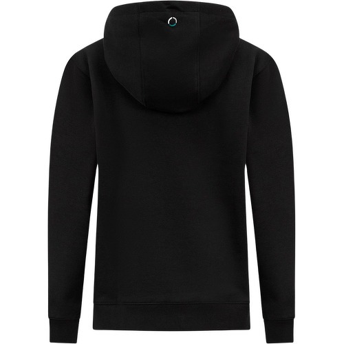 Sweat A Capuche Logo Officiel Formule 1