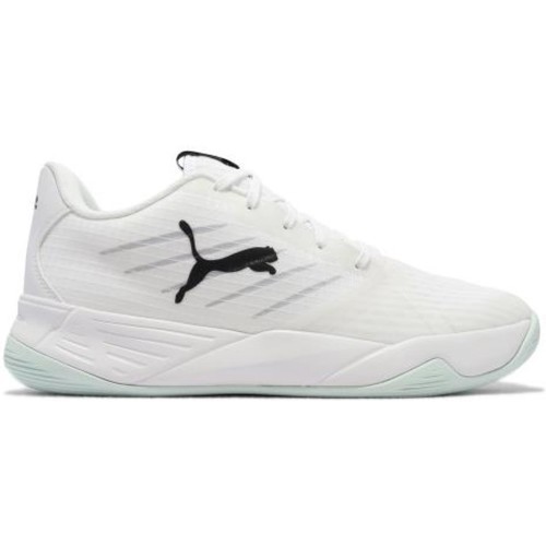 PUMA - Accelerate Pro 2