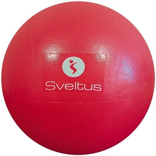 SVELTUS - Ballon Pedagogique