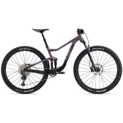 LIV - Vtt Pique 29 2