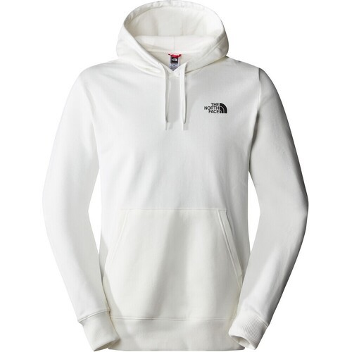 THE NORTH FACE - M OUTDOOR GRAPHIC HOODIE LIGHT