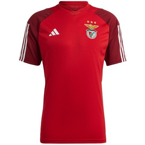 adidas Performance - Adidas Slb Benfica Training 2023/2024