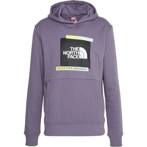 THE NORTH FACE - Pull Graphic Hoodie Lunar Slate
