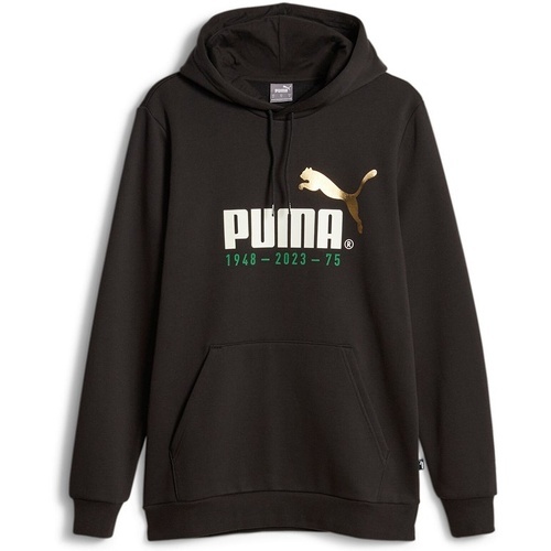 PUMA - No. 1 Logo Celebration Hoodie FL