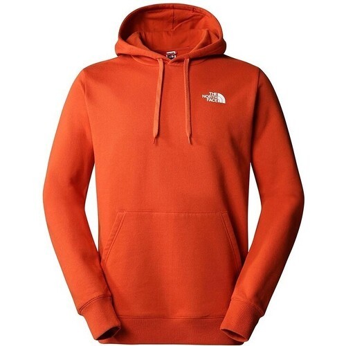 THE NORTH FACE - M OUTDOOR GRAPHIC HOODIE LIGHT