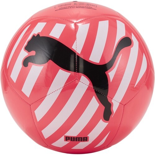 PUMA - Ballon de football Big Cat