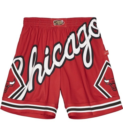 Short Chicago Bulls NBA Blown Out Fashion