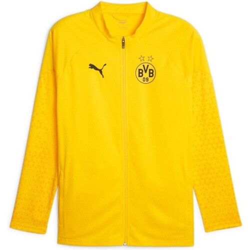 PUMA - Bvb Borussia Training 2023/2024