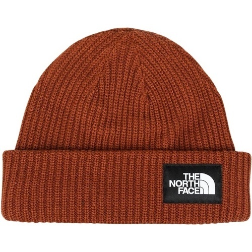 THE NORTH FACE - Salty Dog Lined Beanie
