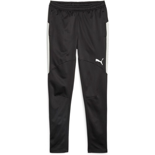 PUMA - Individual Winterized Men's Football Pants