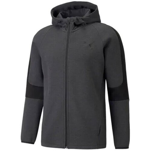 PUMA - Sweatshirt à capuche Full-zip Evostripe Core