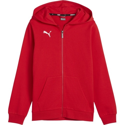 PUMA - teamGOAL Casuals veste capuche