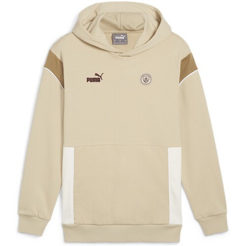 PUMA - Hoodie Ftblarchive Manchester City