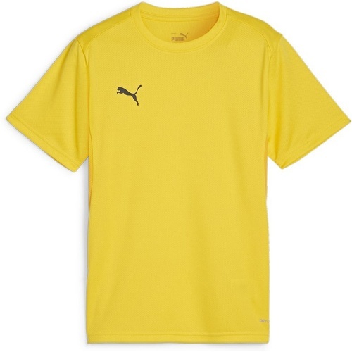 PUMA - teamGOAL Jersey Jr