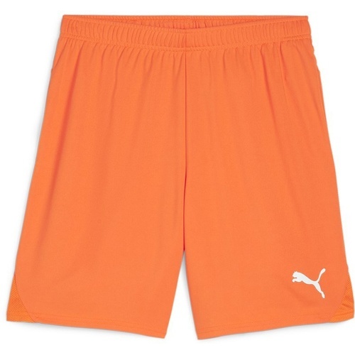 PUMA - teamGOAL Shorts