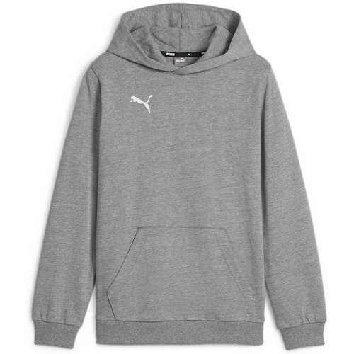 teamGOAL Casuals Hoody Jr