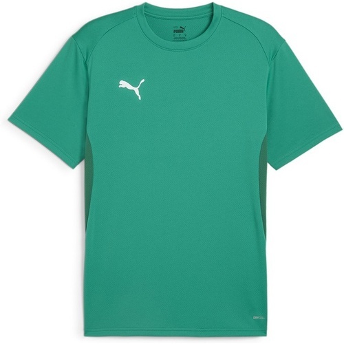 PUMA - teamGOAL Jersey