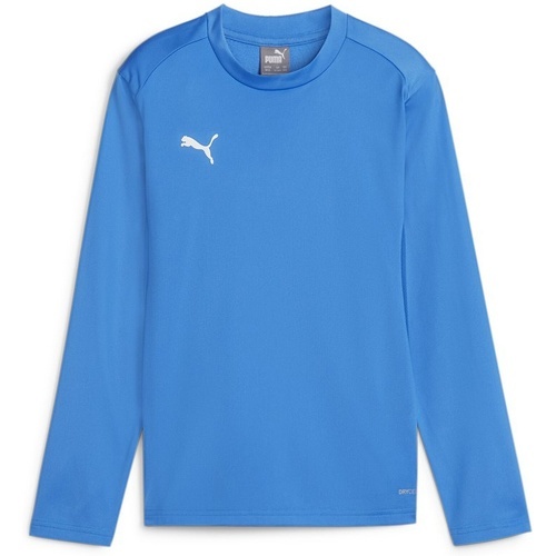 PUMA - teamGOAL Training Sweat Jr