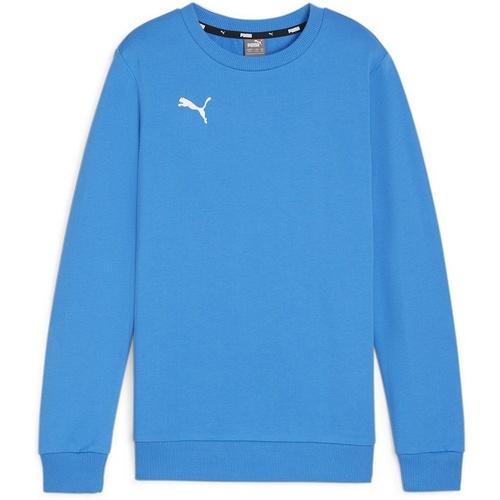 PUMA - teamGOAL Casuals Crew Neck Sweat Jr