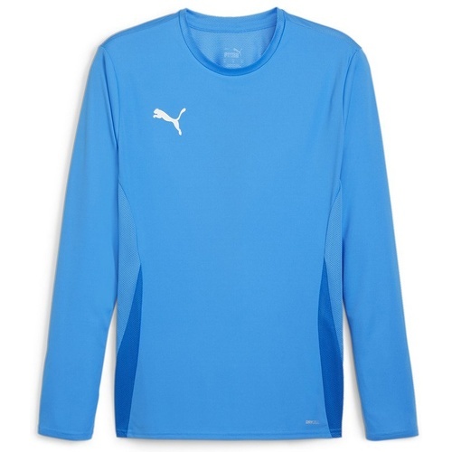 PUMA - teamGOAL LS Jersey