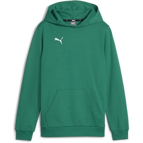 teamGOAL Casuals Hoody Jr