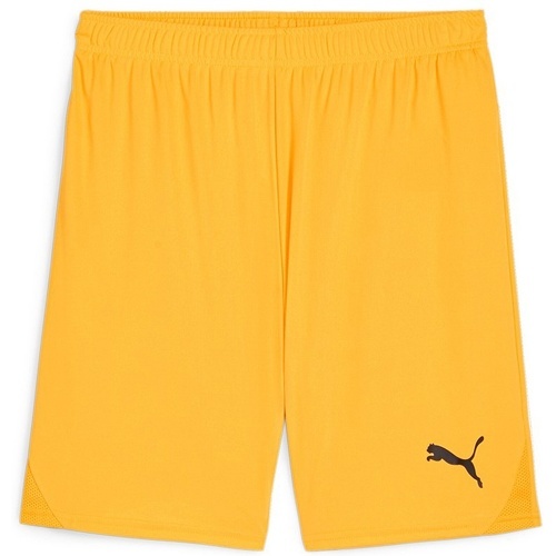 PUMA - teamGOAL Shorts