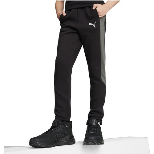 PUMA - EVOSTRIPE Pants DK B