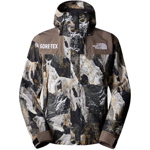 THE NORTH FACE - M Gore Tex Mountain Giacca
