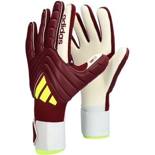 Gants de gardien Copa League