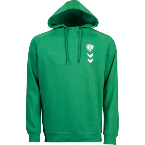 HUMMEL - Sweatshirt à capuche ASSE Fan Green 2022/23
