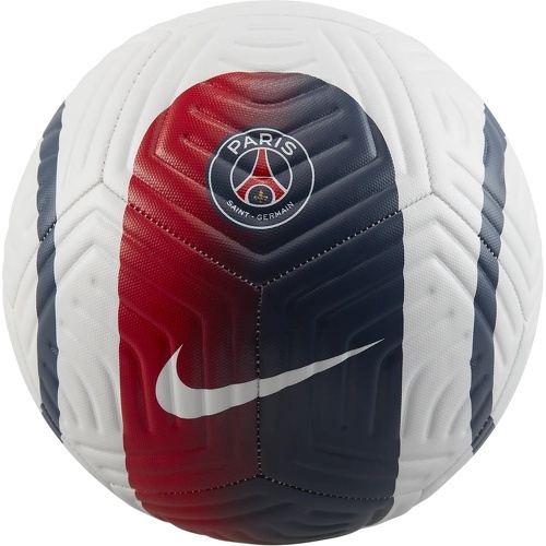 Paris Saint Germain Pallone Academy