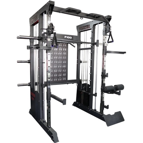 F100 V2 Functional Trainer – 200 Kilos de plaques inclus