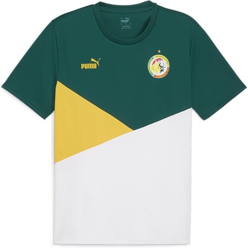 Maillot Sénégal 2023