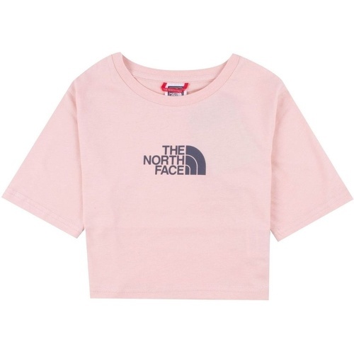 THE NORTH FACE - T Shirt Ghyè Bnhgg Manches Courtes Cropped Graphic Tee