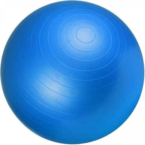 GORILLA SPORTS - Swiss ball - Ballon de gym de plusieurs tailles 55cm, 65cm, 75cm et en couleurs : bleu, gris, fuchsia, noir, rouge, vert