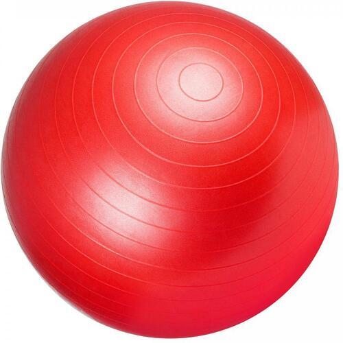 Swiss ball - Ballon de gym de plusieurs tailles 55cm, 65cm, 75cm et en couleurs : bleu, gris, fuchsia, noir, rouge, vert